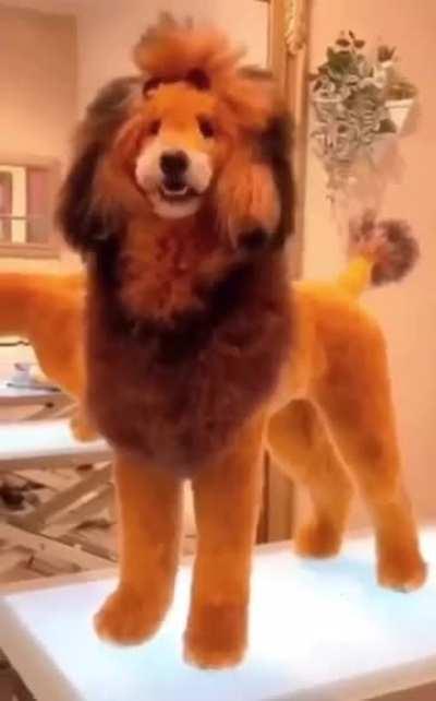 Hey guys, let's scare Henrie