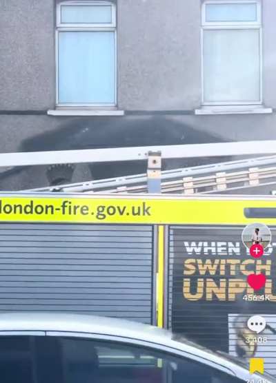 Doggo looks so proud