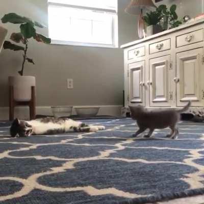 Showing the new guy the ropes