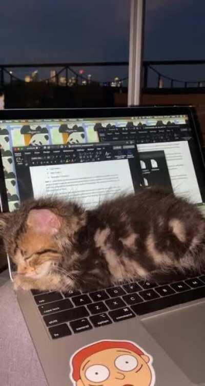 Don’t worry about me and the 5 assessments I have due by the end of this week...