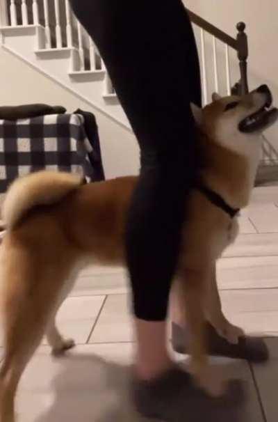 Please listen with volume for full serotonin. 1 week progress so far!!