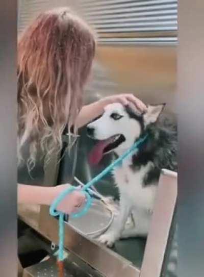 Relationships simply explained.