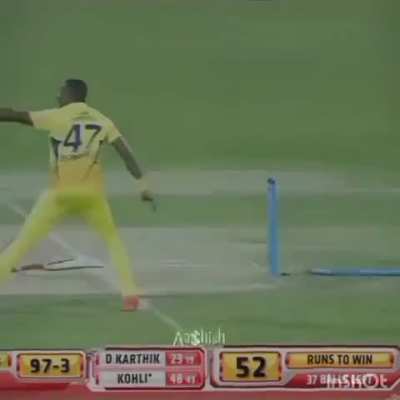 Craziest way of taking wicket I have seen till date 😭