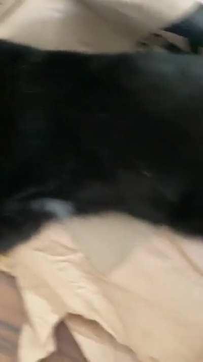 Not even sure if he’s overweight, I think he’s just big boned 😂