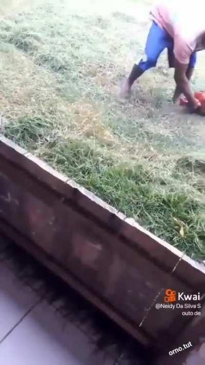 Cutting the grass like real men