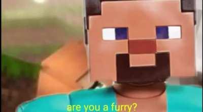 To CREEPER_PANTS who got muted for 14 hours for posting minecraft porn