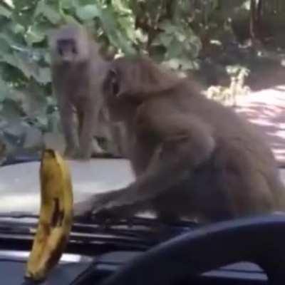 When you see it, want it and just can’t have it..., I wonder who else can relate to that?? :)