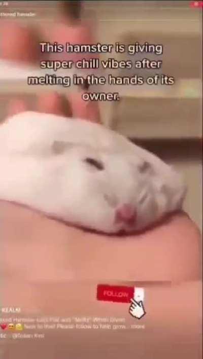 IS THAT A FLORP™!!?!?!?!?!??!?!?!!?!?!?