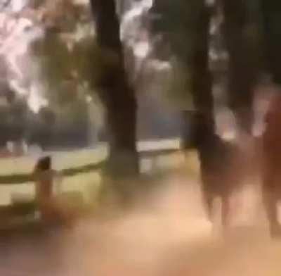 honse is ibeutifu everytime