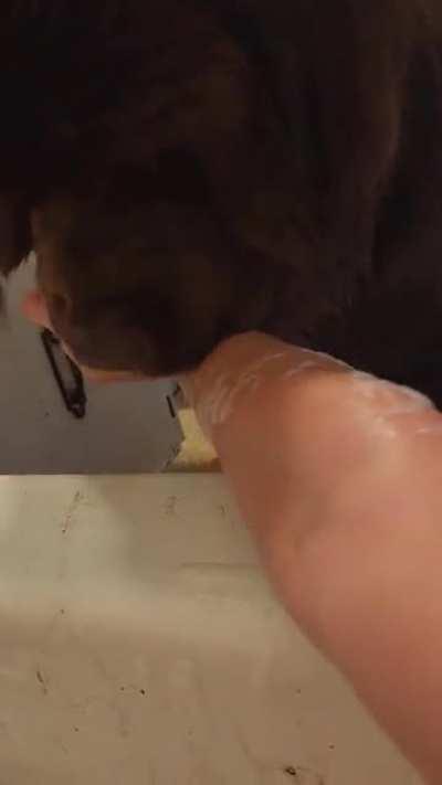 I'll save you, mommy!