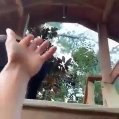 another wholesome post :)