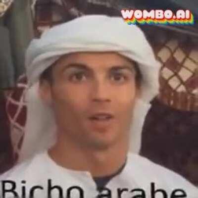 حشرة عربية 🥴