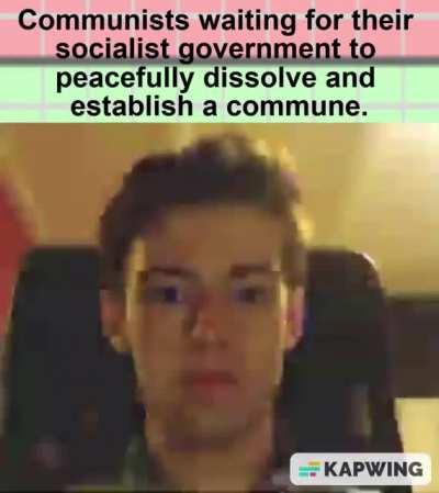 "No Mom I'm not eating my veggies, All unjust hierarchies must be abolished!"