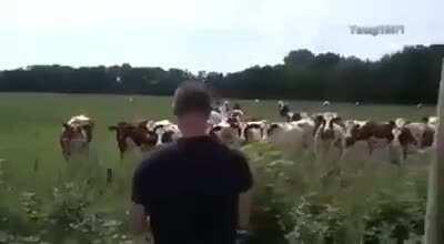 boost milk production...