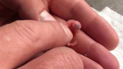 Lydia from Yogscast (Squidgame on Twitch) whose online handle has been SquidGame/Squidgaming for years before existence of similarly named Netflix series gets banned from Instagram without proper review due to reports/other forms of harassment from the sh