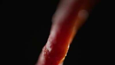 tai pasako daug apei visomene