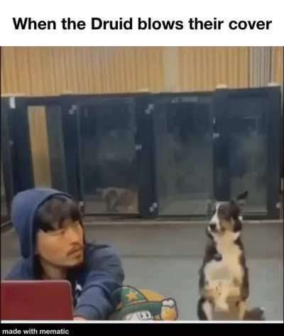 “Roll Deception” 