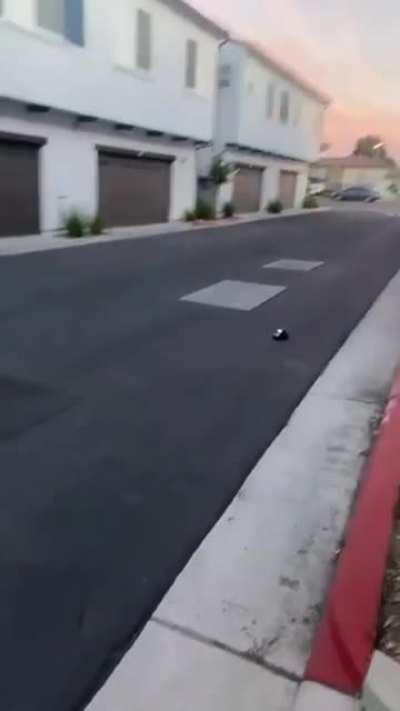 Jumping RC car off mini-ramp over kid....no matter how close the kid is to the ramp, you still gotta hit the ramp and not the kid's face for success.