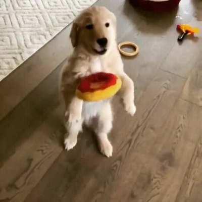 PuPPy gEtS DiAbEeTuS aNd fUckiNG dIEs