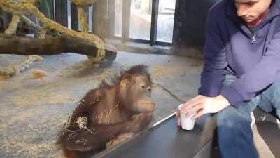 Reacting to magic trick