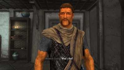 House MD in Skyrim - The Orange Whiterun Guard