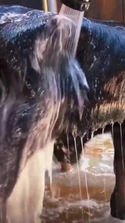 owwwwwwwwwwwwwwwwwwwwwwwwwwwwwwwwwwwwwwwwwwwwwn