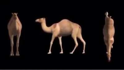 Me, when I found out my girlfriend is worth 12 camels