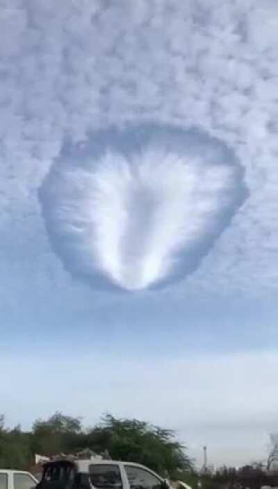 Two Yonkos are clashing in my country