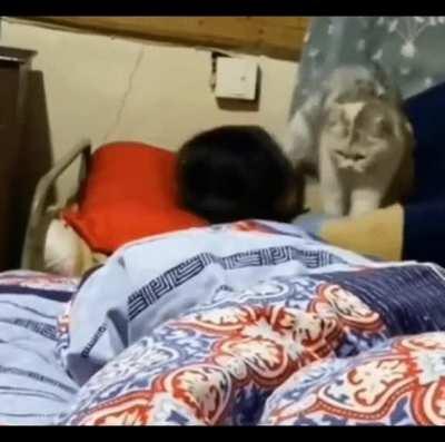 haven't laughed like that for a long time 😂