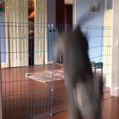 I can’t believe you’ve done this.