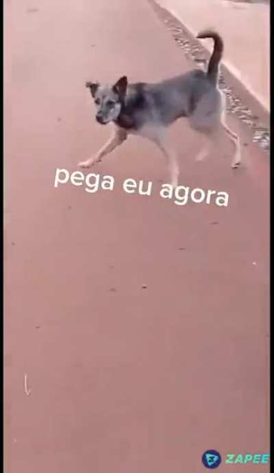 pega eu agora