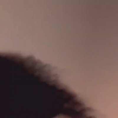 Marleelaflare Twerk Close Up 🤍