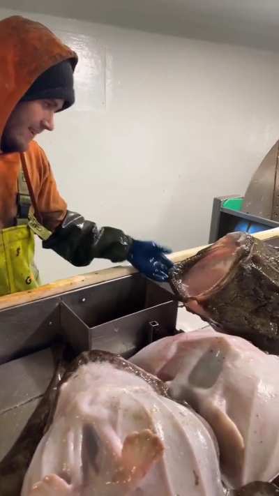 This seemed entirely avoidable