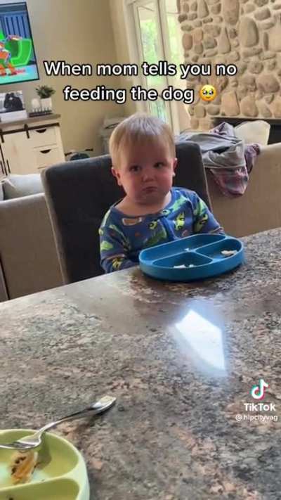 Man’s best friend @hipcityvag