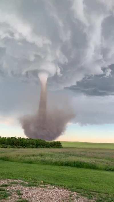 What's is this exactly???