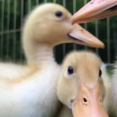 This makes my day 😭