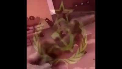 Tachanka Dance Moves