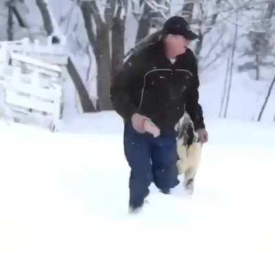 Just a man and his moo doggo