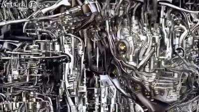 Tripping through time