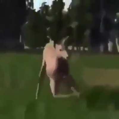 My honest reaction to this W reddit gc meta cuz all of my hard work was approved here :-