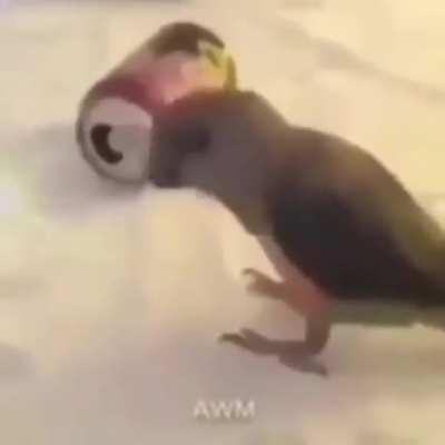 Um título interessante