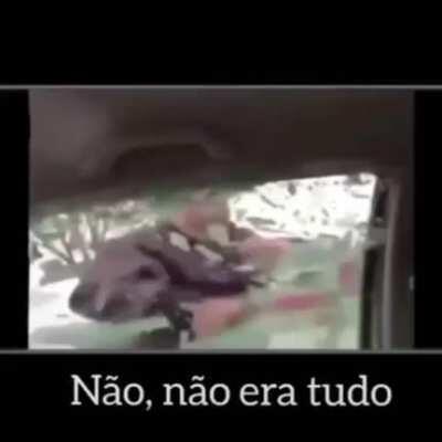 Óbvio que não é tudo