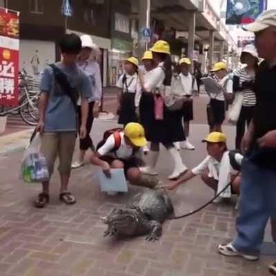 Man lives with pet alligator for the past 34 years