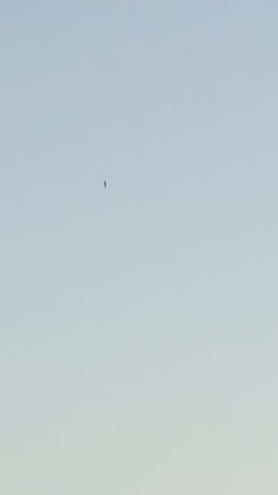 Spotted in Manchester UK video