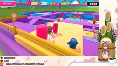 how a dog protects its tail