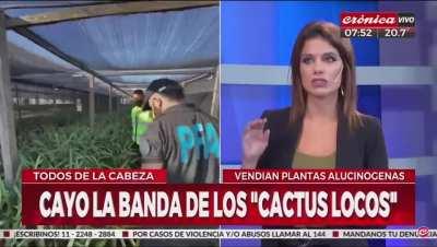 En Cronica se rien y tratan de virgos a los que coleccionan comics/muñecos