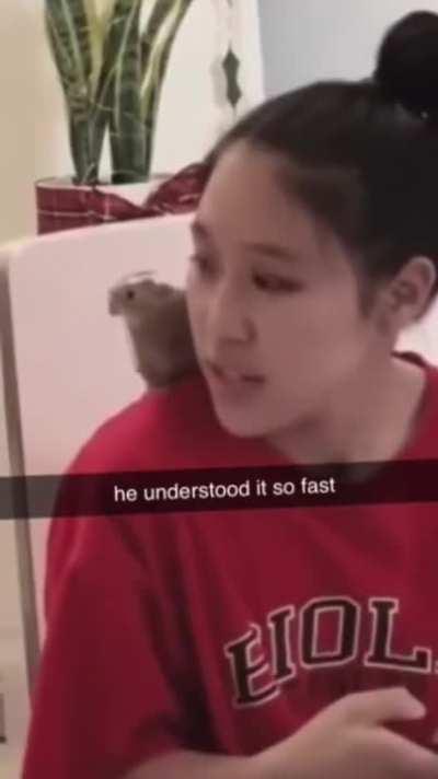 He understood the assignment