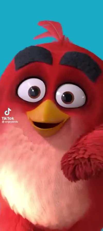 deleted post from angry birds OFFICAL TIKTOK