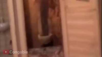 Diluc Eats Bread And Aftermath (Congable)