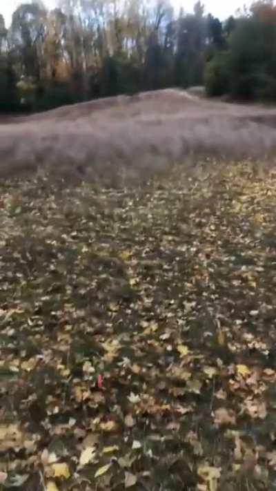 Greatest huntsman to ever walk on Earth